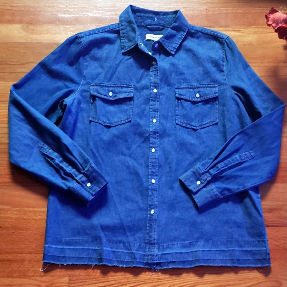 Womens Denim  medium shirt Alexander Jordan Button Up Jean Shirt Collared  NWT